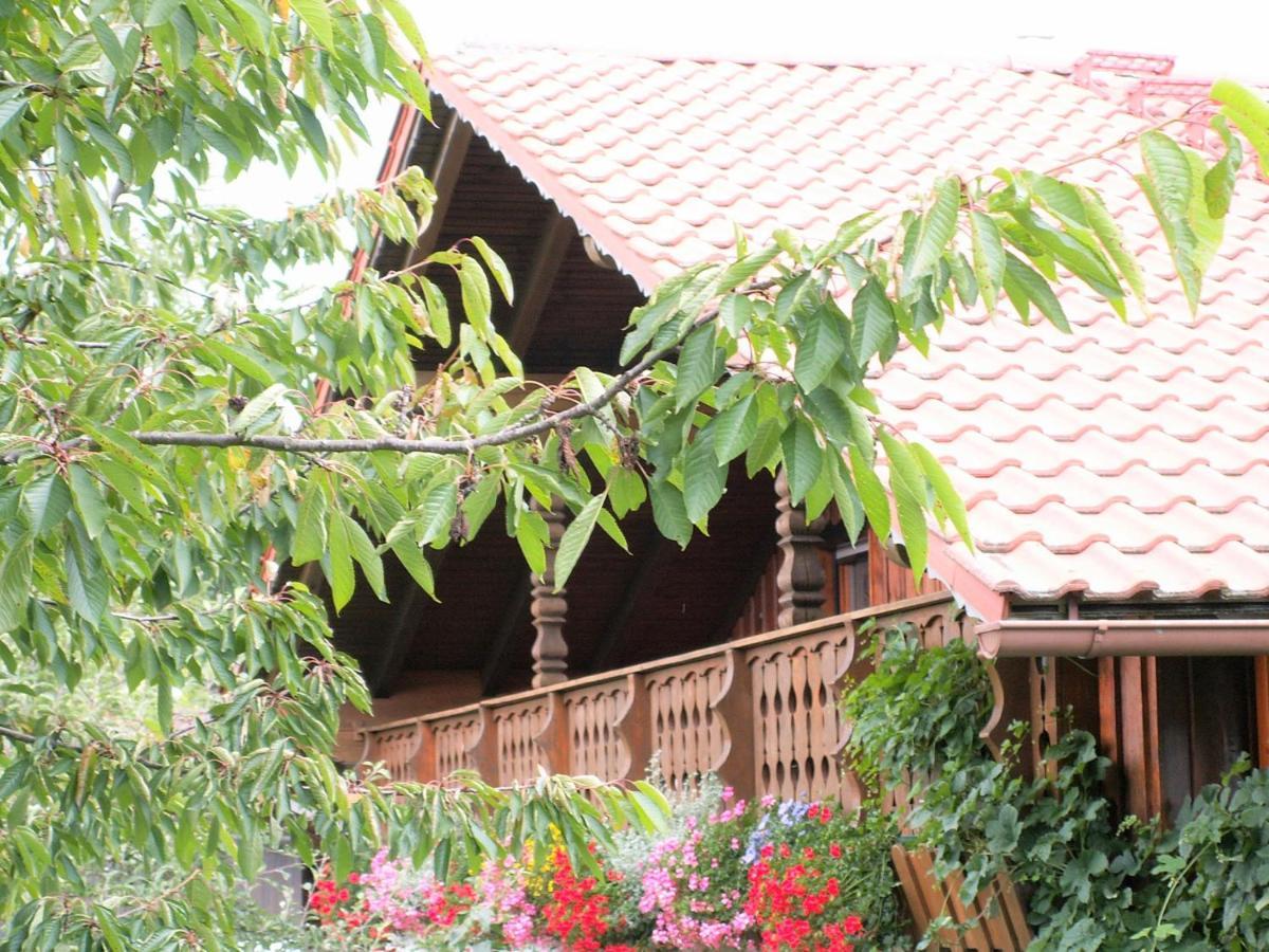 Ferienwohnungen Irene Konstandin Bischofsmais Exterior foto